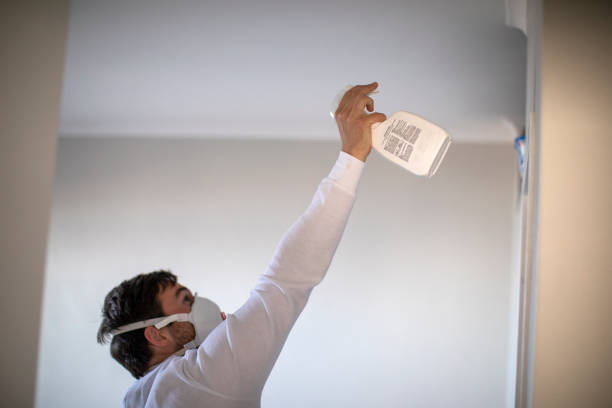 Home Mold Removal in Romeoville, IL