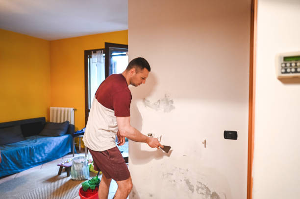 Best Toxic Mold Removal  in Romeovle, IL
